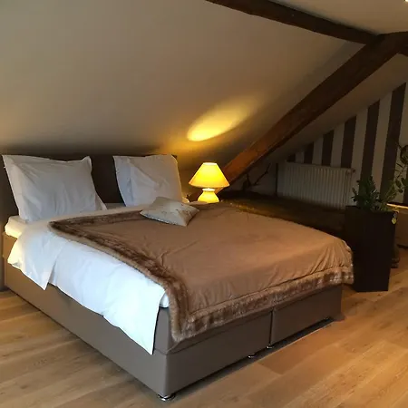 Hotel Dufays 3*