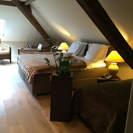 Hotel Dufays 3*
