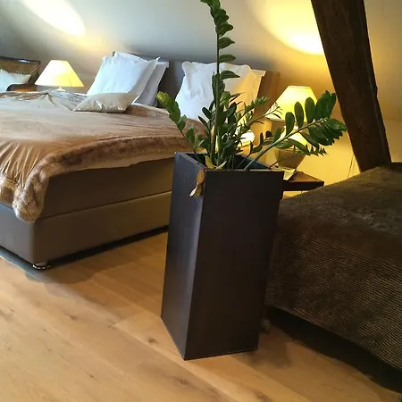 ドゥフェイズ スタヴロ