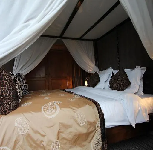 ドゥフェイズ スタヴロ